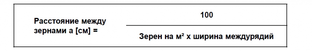формула1.jpg
