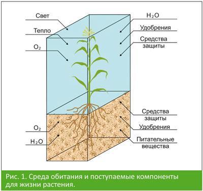 рисунок2.jpg